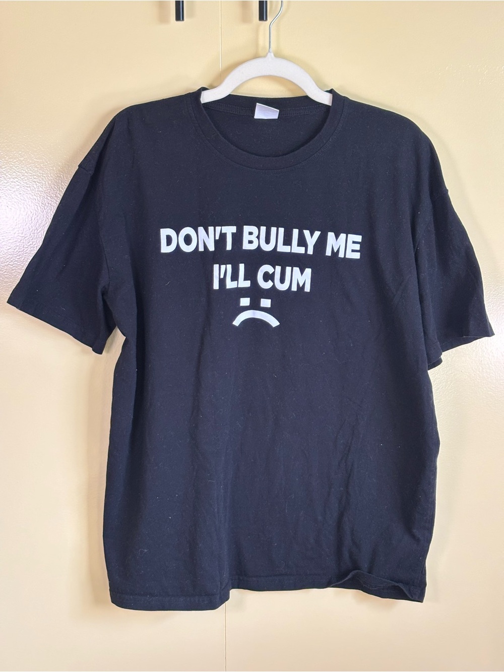 Graphic T shirt “don’t bully me I’ll cum :(“